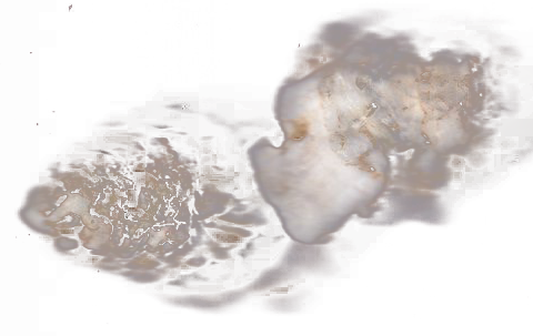 How do you hold onto meaning?