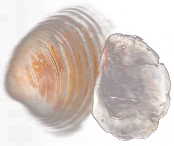 How do you hold onto meaning?