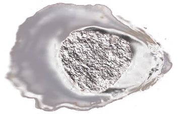 How do you hold onto meaning?