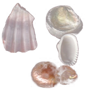 How do you hold onto meaning?